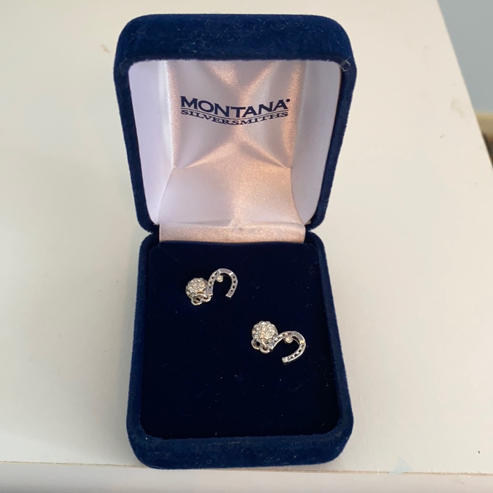 Never worn horseshoe earrings